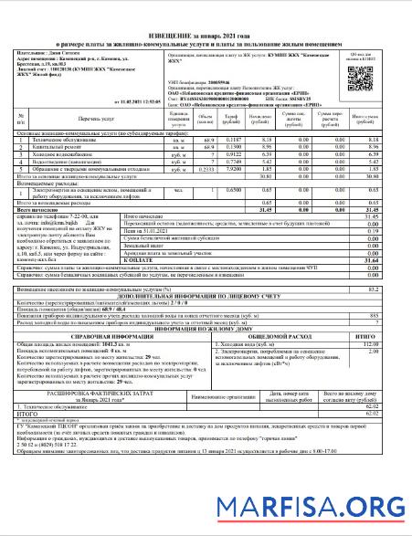 Downloadable Belarus Utility Billl example